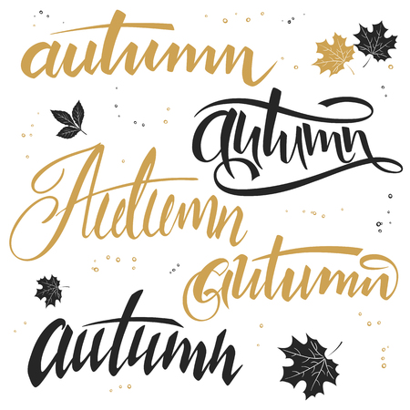 vector illustration of hand lettering word - autumn, written in various styles.のイラスト素材