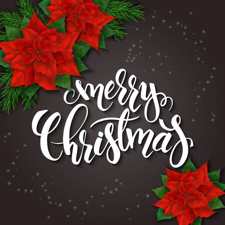 vector illustration of christmas greeting card with poinsettia flowers, snowflakes and hand lettering label - merry christmas.のイラスト素材