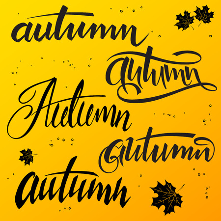 vector illustration of hand lettering word - autumn, written in various styles.のイラスト素材