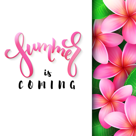 vector illustration of hand lettering poster - summer is coming with paper sheet on a background of blooming rose plumeriaのイラスト素材