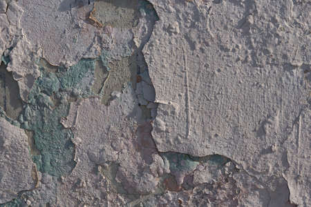 paving stones top view cracks sprouted with mossの写真素材