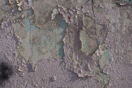 paving stones top view cracks sprouted with mossの写真素材