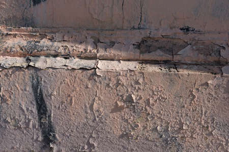 paving stones top view cracks sprouted with mossの写真素材