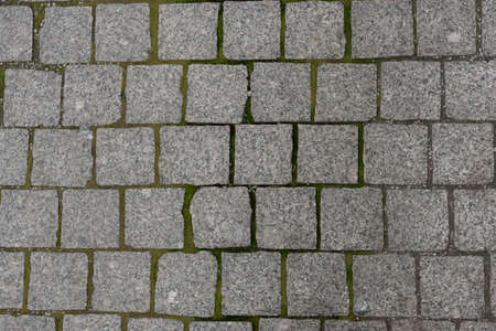 paving stones top view cracks sprouted with mossの写真素材