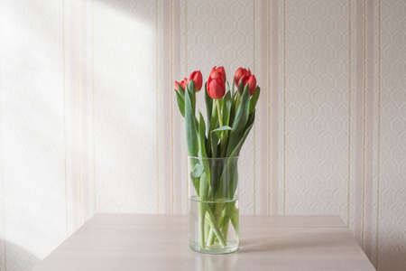 Lilac tulips on a table in a glass vase on a sunny day, a gift from a loved oneの写真素材