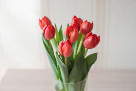 Lilac tulips on a table in a glass vase on a sunny day, a gift from a loved oneの写真素材