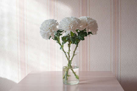 Lilac tulips on a table in a glass vase on a sunny day, a gift from a loved oneの写真素材
