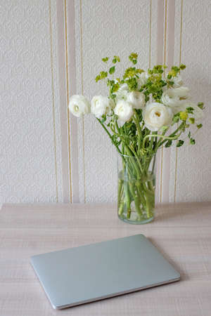 Lilac and beige knitted blankets handmade in the home interior and a catの写真素材