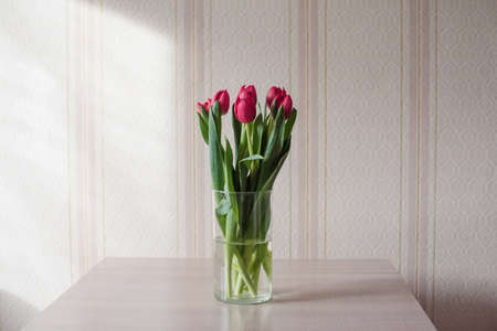 Lilac tulips on a table in a glass vase on a sunny day, a gift from a loved oneの写真素材