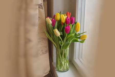 Beautiful large multi-colored tulips yellow orange and red in a glass vase on the windowsill gift favoriteの写真素材