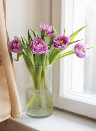 Pink lilac tulips in a transparent vase on the windowsill with a piece of curtain. With soft focus and bright light from the windowの写真素材