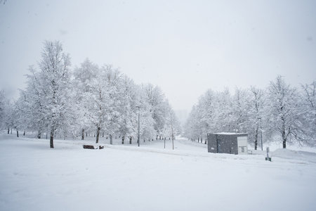 Heavy snowfall in the park, snow-white landscapeの写真素材