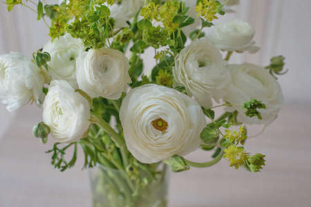 White ranunculi in a glass vase in the home interior for a birthdayの写真素材