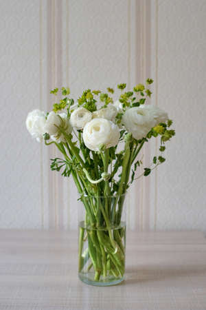 White ranunculi in a glass vase in the home interior for a birthday