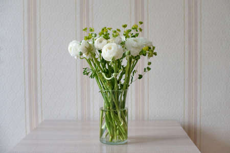 White ranunculi in a glass vase in the home interior for a birthdayの写真素材