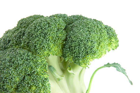 Fresh raw broccoli over white backgroundの写真素材