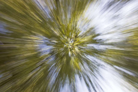 Abstract green blurred backgroundの写真素材
