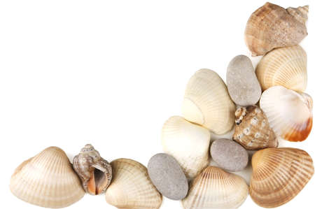 Seashells and pebbles isolated on white with space for text