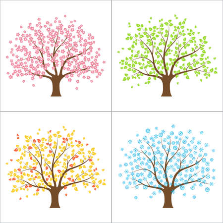 Tree in spring, summer, autumn and winter  Four seasons conceptのイラスト素材