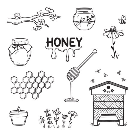 Set of honey and beekeeping elements in doodle styleのイラスト素材
