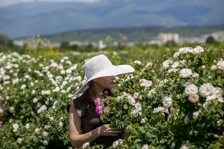 Beautiful woman in retro style polka dot dress and hat holding a delicate bouquet of Bulgarian pink fresh roses in spring warm sunny day with blue cloudy sky. The concept of Bulgarian Damask rose perfume advertising.の写真素材