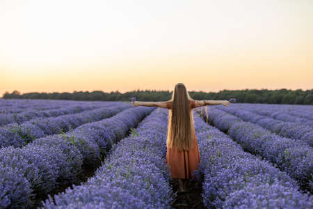 Back view of pretty girl with long hair and in orange dress stays among the blooming luscious landscape of violet lavender flowers on field at sunset and holds a bouquet. Summer travel concept.の写真素材
