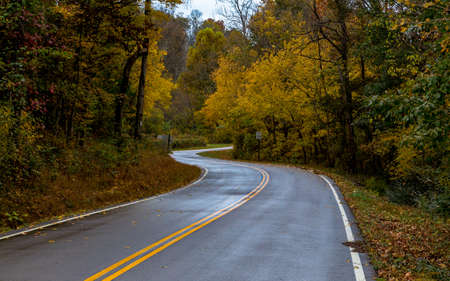 Drive in fall season.