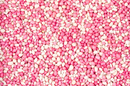 Full frame studio macro shot with top view of typical Dutch rose miceの写真素材