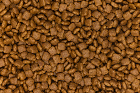 Full frame close up macro image of cat dry food kibblesの写真素材