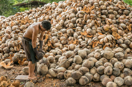 raw material from coconutのeditorial素材