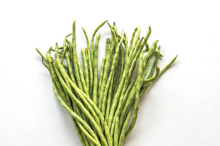 yardlong beanの写真素材