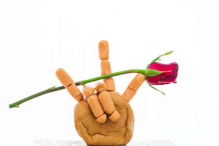 Red rose in sign languageの写真素材