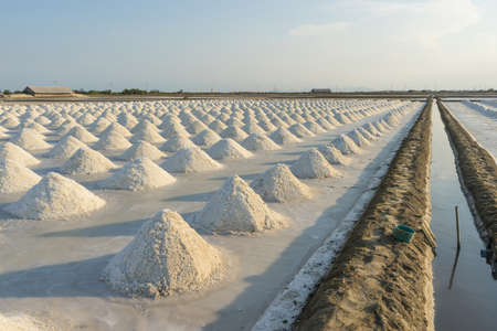 Water delivery system in salineの写真素材