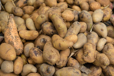 pile of potatoes in open marketの写真素材