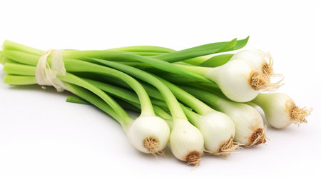 A bunch of green onions on a white background. High quality illustrationの素材