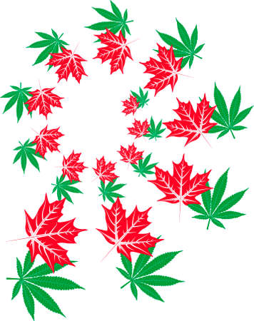 Maple and marijuana spiralのイラスト素材
