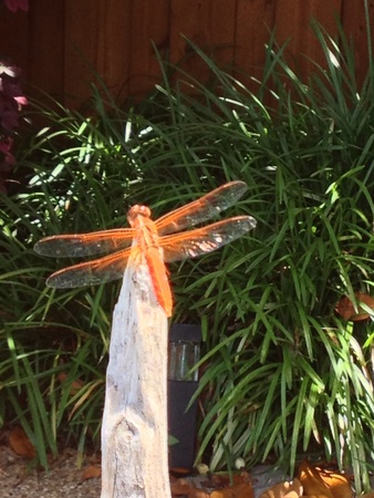 Unique dragonflyの素材