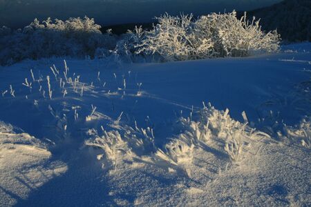 snowの写真素材