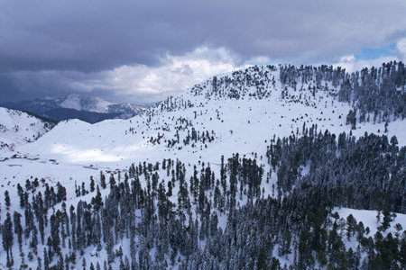 Winter Wonderland: Aerial View of Snow-Covered Himalayan Mountains and pine trees forest during winter in Malam Jabba Swat Khyber Pakhtunkhwa Pakistanの写真素材