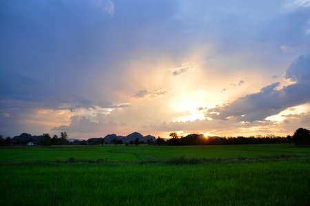 The first light of day for farmers Thailandの写真素材