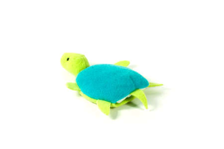 Stuffed turtle on a white background.の写真素材