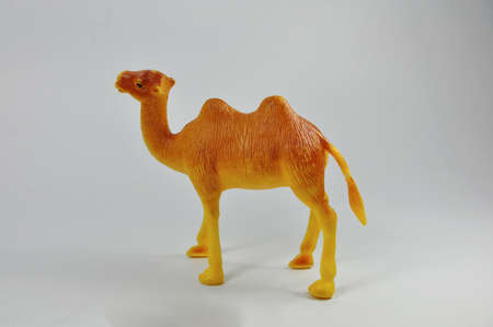 Camel brown toy on a white backgroundの写真素材