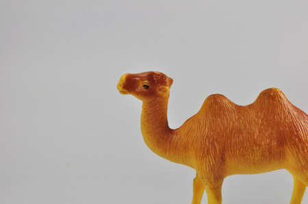 Camel brown toy on a white backgroundの写真素材