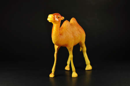 Toy camel brown on blackの写真素材