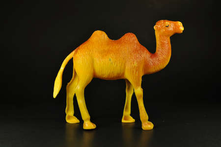 Toy camel brown on blackの写真素材