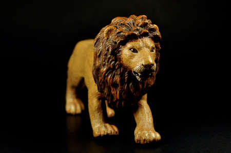 Plastic toy lion on a black backgroundの写真素材