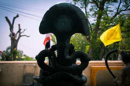 Narayana behind a spinning black seats on the seven -headed snakeの写真素材