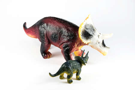 Dinosaur Triceratops plastic on a white backgroundの写真素材