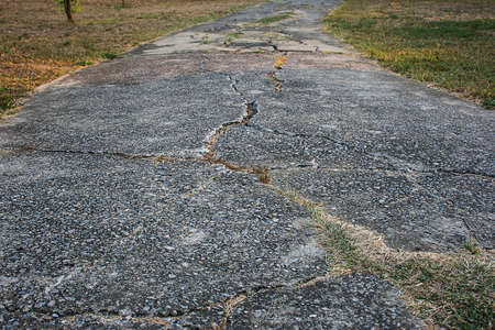 The road in the grass.の写真素材
