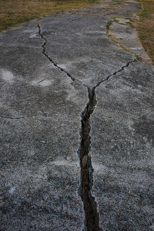 The road in the grass.の写真素材